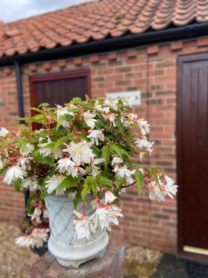 Willow Tree Guest house Newark-on-Trent (Nottinghamshire)