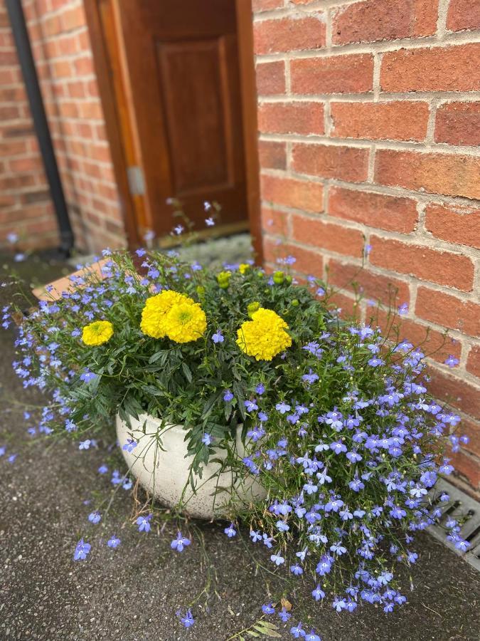 Willow Tree Guest house Newark-on-Trent (Nottinghamshire)