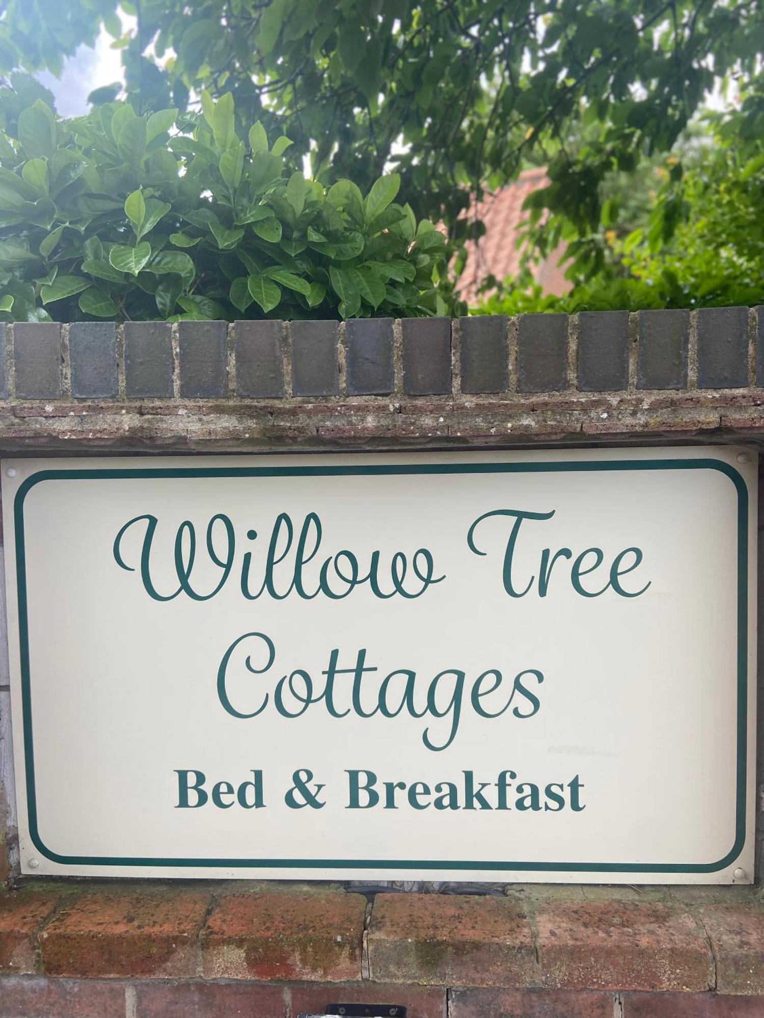 Willow Tree