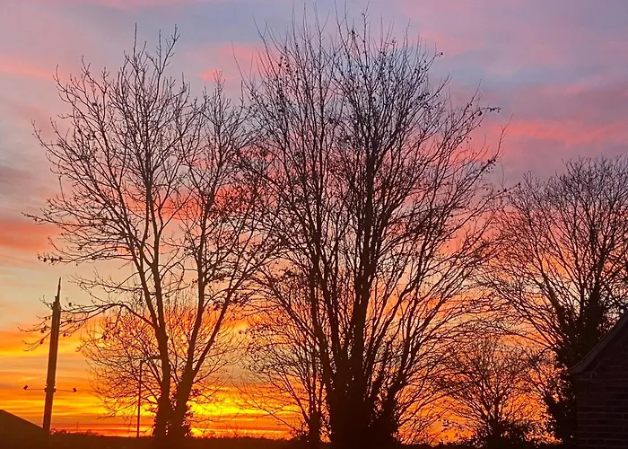 Willow Tree Cottages