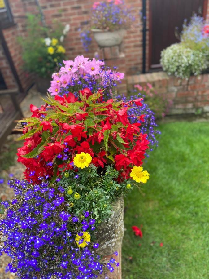 Guest house Willow Tree Newark-on-Trent (Nottinghamshire)