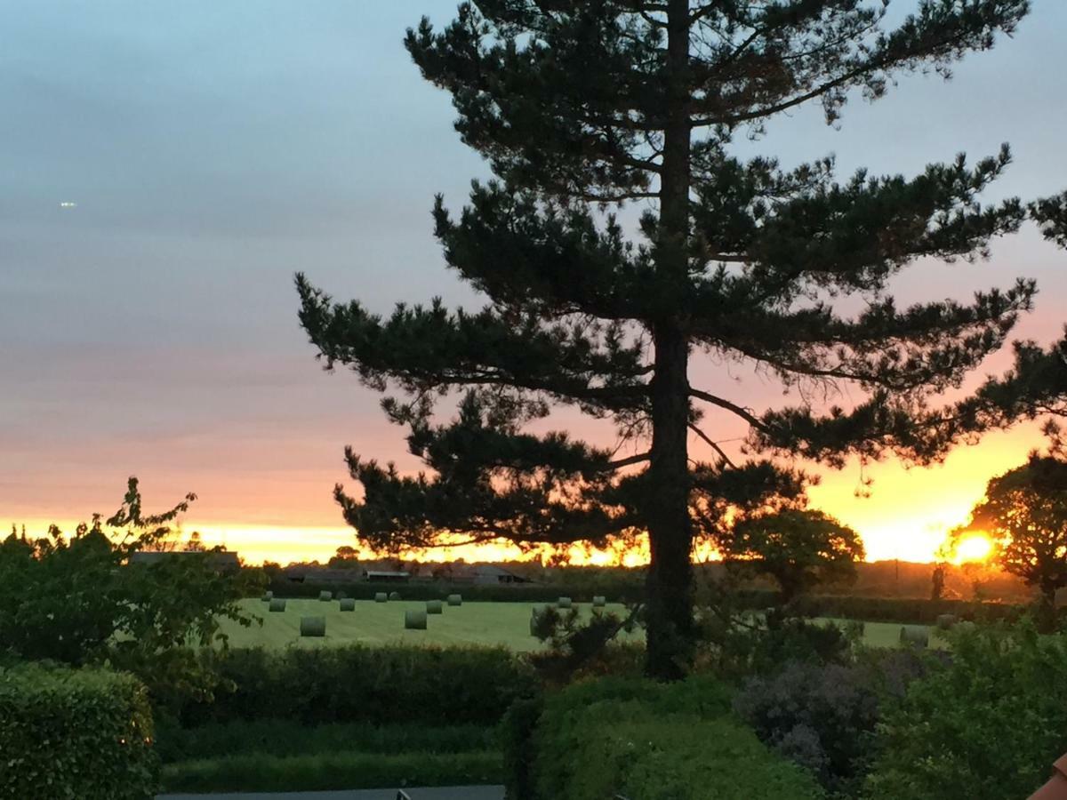 Willow Tree Guest house 3*